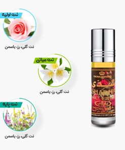 نتهای اولیه، میانی و پایه عطر 6 میل شذی از برند الرحاب